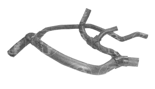 CAÑO MOTOR